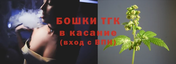 амф Верея