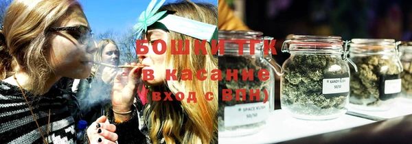 амф Верея