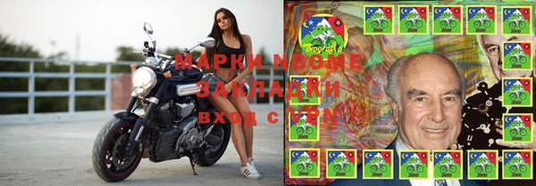 амф Верея